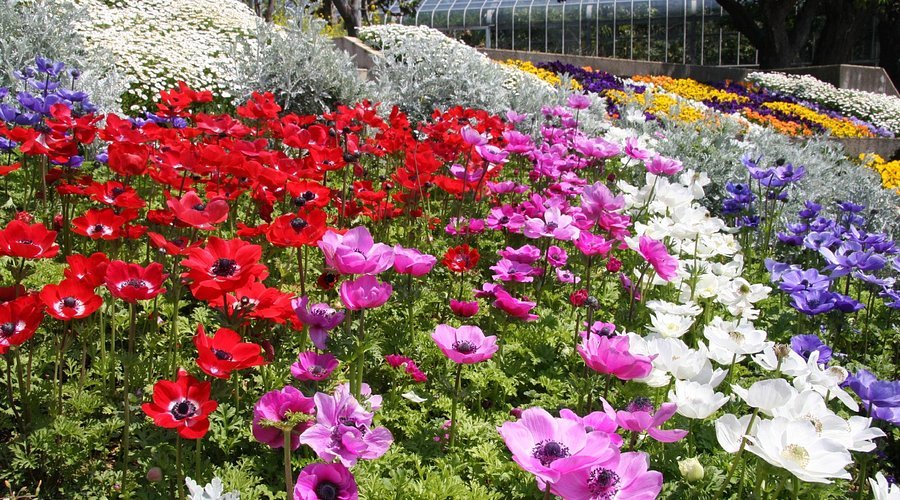 🖼️ 뉴욕 램프 박물관 & 플라워 가든(뉴욕 램프 뮤지엄 & 플라워 가든) 이미지 10